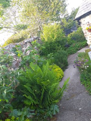 Picture perfect at Planted - Vegan Self-Catering Studio in St Agnes