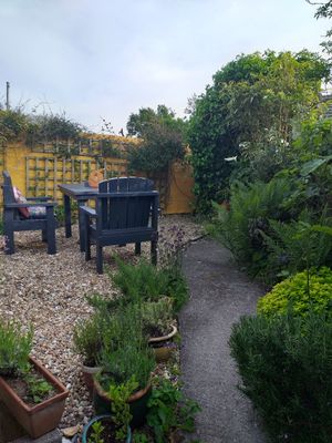 More garden! at Planted - Vegan Self-Catering Studio in St Agnes