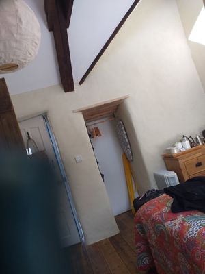 Pictures cannot do it justice - gorgeous place with high ceilings at Planted - Vegan Self-Catering Studio in St Agnes