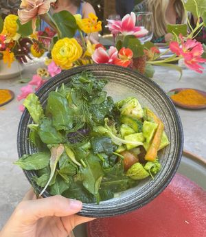 Salad with fresh herbs at Acre in San Jose Del Cabo