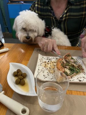 la de mortadela con pesto de pistachos, de las mejores  at Pizzi & Dixie in Madrid