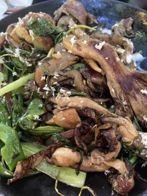 Oyster mushrooms   at Bana in Tel Aviv