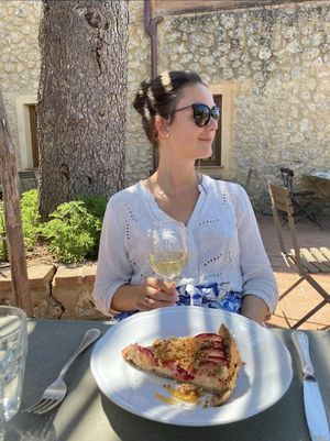 Tarte at Vegan Agrivilla I Pini in San Gimignano