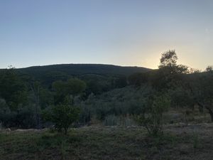 The view  at Vegan Agrivilla I Pini in San Gimignano