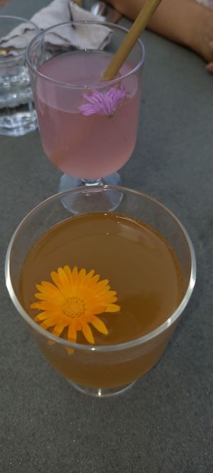  at Vegan Agrivilla I Pini in San Gimignano