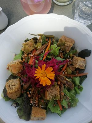  at Vegan Agrivilla I Pini in San Gimignano