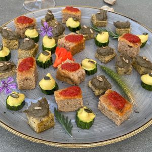 Tasting plate with wine tasting experience   at Vegan Agrivilla I Pini in San Gimignano