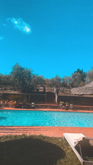  at Vegan Agrivilla I Pini in San Gimignano