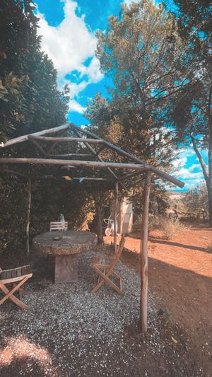  at Vegan Agrivilla I Pini in San Gimignano