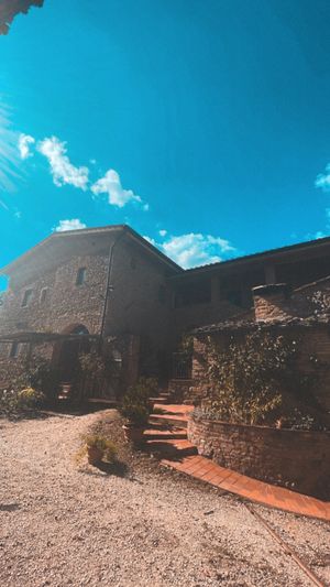  at Vegan Agrivilla I Pini in San Gimignano