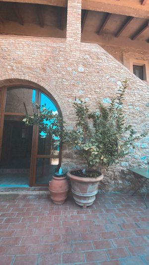  at Vegan Agrivilla I Pini in San Gimignano