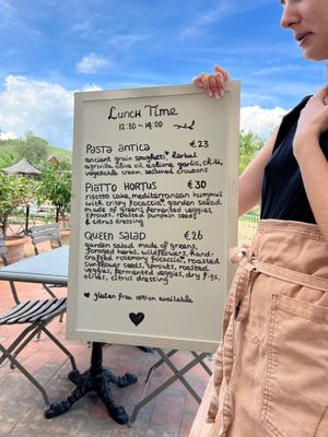 Gorgeous daily menu (main options) at Vegan Agrivilla I Pini in San Gimignano