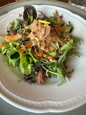 Delicious salad   at Vegan Agrivilla I Pini in San Gimignano