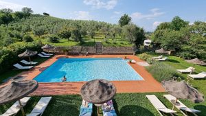Swimming pool and olive trees at Vegan Agrivilla I Pini in San Gimignano