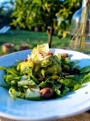 Salad - one of the dinner courses at Vegan Agrivilla I Pini in San Gimignano
