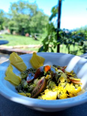 Lunch dish at Vegan Agrivilla I Pini in San Gimignano