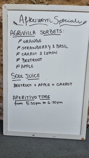 Sorbets menu at Vegan Agrivilla I Pini in San Gimignano