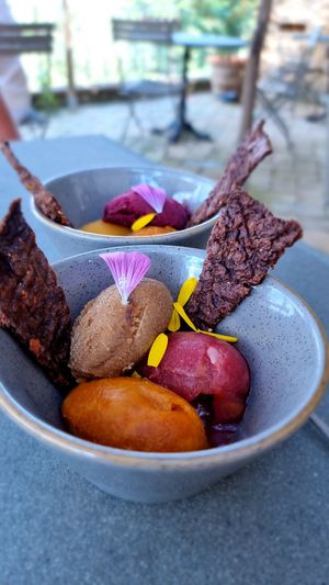 Sorbet at Vegan Agrivilla I Pini in San Gimignano