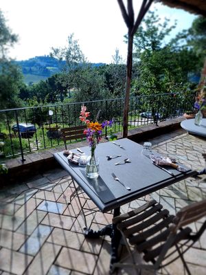 Terrace, looking at San Gimignano at Vegan Agrivilla I Pini in San Gimignano