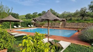 Pool, view from terrace at Vegan Agrivilla I Pini in San Gimignano