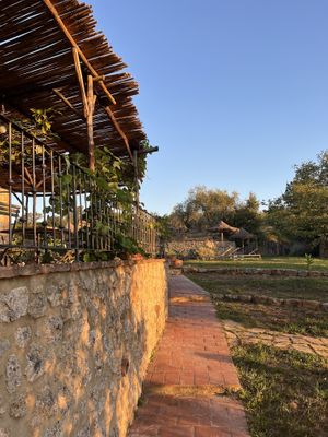   at Vegan Agrivilla I Pini in San Gimignano