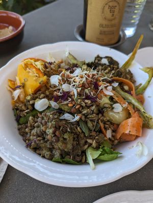  at Vegan Agrivilla I Pini in San Gimignano