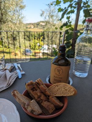  at Vegan Agrivilla I Pini in San Gimignano