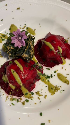  at Vegan Agrivilla I Pini in San Gimignano