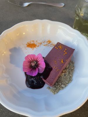   at Vegan Agrivilla I Pini in San Gimignano