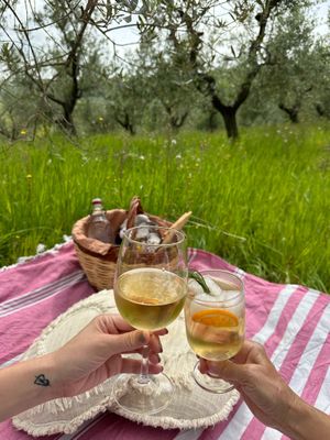  at Vegan Agrivilla I Pini in San Gimignano