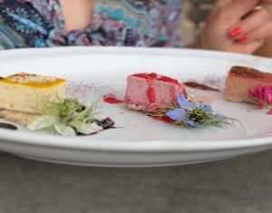 Cheescake  at Vegan Agrivilla I Pini in San Gimignano