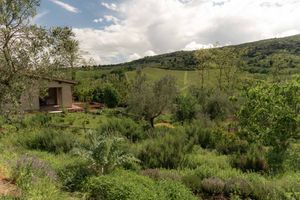  at Vegan Agrivilla I Pini in San Gimignano