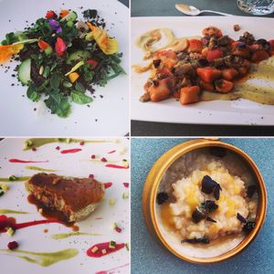 Dinner at Vegan Agrivilla I Pini in San Gimignano