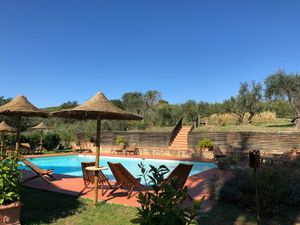 The pool area at Vegan Agrivilla I Pini in San Gimignano