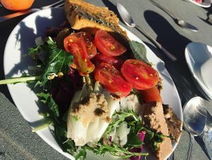 Lunch at Vegan Agrivilla I Pini in San Gimignano