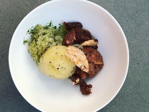 Different sorbets  at Vegan Agrivilla I Pini in San Gimignano