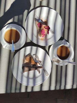 Coffee and cake at Vegan Agrivilla I Pini in San Gimignano