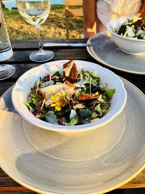 a salad from the own garden at Vegan Agrivilla I Pini in San Gimignano