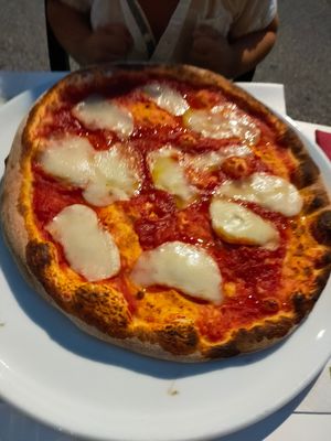 Baby margherisella at La Taverna di Pulcinella in Pisa