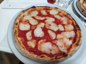 Pizza 4 formaggi vegana at La Taverna di Pulcinella in Pisa