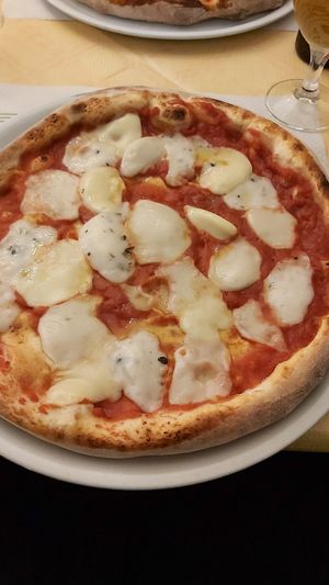 Vegan 4 cheeses at La Taverna di Pulcinella in Pisa