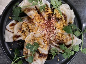 5 spice chicken dumpling   at Beyond Sushi in New York City