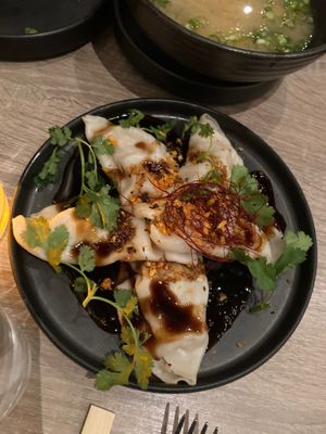 Chkn dumplings  at Beyond Sushi in New York City