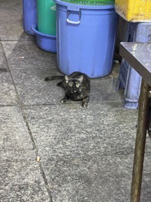   at Chi Cu in Ho Chi Minh City