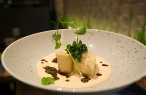 "Cheese" dumplings, Celeriac cream, pumpkinseeds at Bistro Maha in Ljubljana