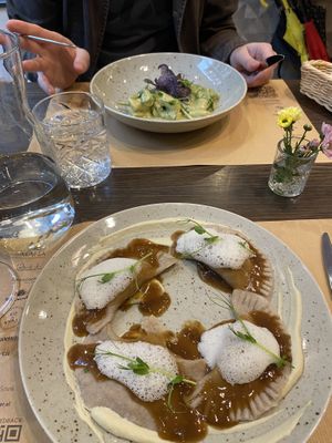 Dumplings and gnocchi   at Bistro Maha in Ljubljana