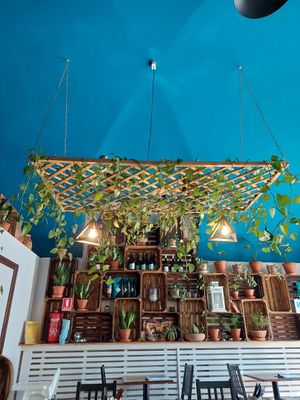  at LYR Speciality Coffee and Food in Pecs