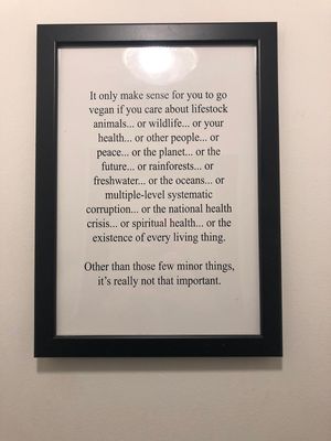 Frame at LYR Speciality Coffee and Food in Pecs