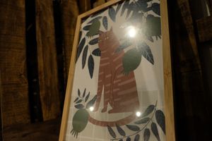 Cat picture at LYR Speciality Coffee and Food in Pecs