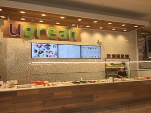 salad bar  at Ugrean in Orlando